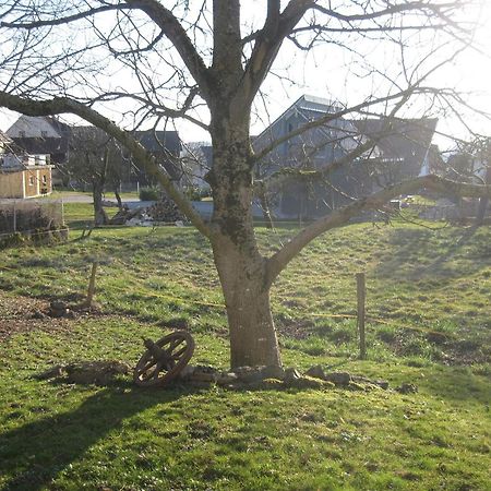 Appartamento Unterm Nussbaeumle Adelhausen Esterno foto