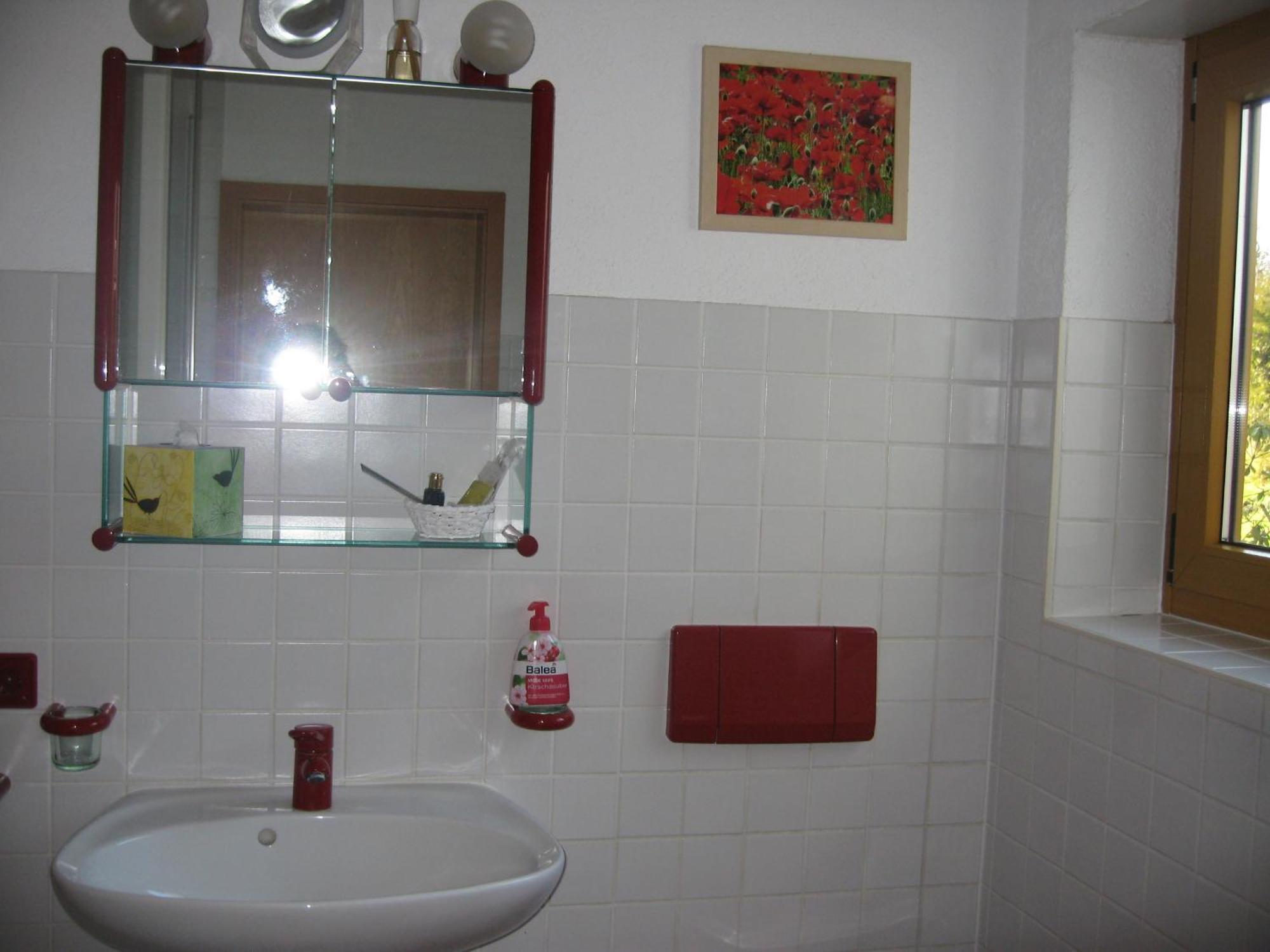 Appartamento Unterm Nussbaeumle Adelhausen Esterno foto